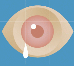eye